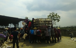 Cúm A H7N9 tiến gần biên giới với tốc độ chóng mặt