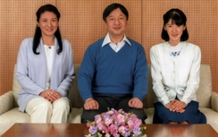 Thái tử Nhật sẵn sàng kế ngôi Nhật hoàng