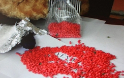 Bắt người nước ngoài cùng 60.000 viên ma túy tổng hợp