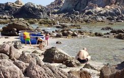 Săn cá mập ở... Quy Nhơn