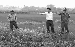 Lật mặt kẻ thủ ác giết người giấu xác dưới chuôm bèo