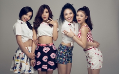 Hoài nghi nhóm nhạc “vỏ” Hàn, “ruột” Việt