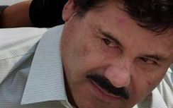 Trùm ma túy vượt ngục Mexico dọa giết ứng viênTổng thống Mỹ