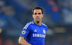 Tin bóng đá 13/3: Bom đạn đe dọa MU, Fabregas lộ chiêu đấu Messi