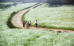 Thiên đường hoa cải Mộc Châu
