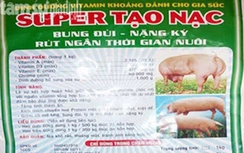 Đình chỉ hoạt động doanh nghiệp nhập chui hơn 200 kg “chất tạo nạc”
