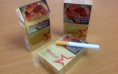 Cơ quan nào kiểm soát nguồn cung cấp thuốc lá?