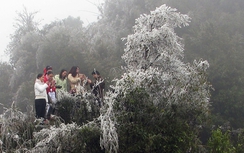 Trời rét đậm, băng giá phủ trắng nhiều khu vực phía Bắc