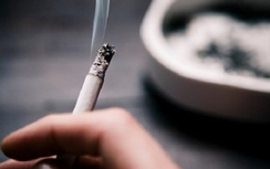Thuốc lá ảnh hưởng đến khả năng sinh con của nam giới