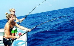 Câu cá biển Đông, khám phá rừng Côn Đảo