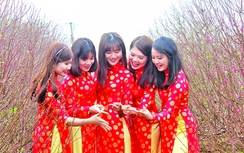 Bắc Trung Nam rộn rã trước thềm xuân Bính Thân