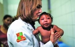 Chất diệt muỗi mới là "thủ phạm" gây teo não trẻ sơ sinh?