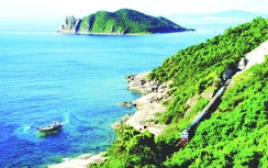 Đặt chân tới xứ sở “hoa vàng cỏ xanh”