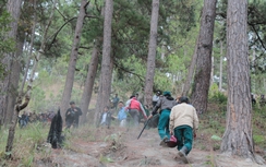 Bài học đắt giá từ vụ 3 du khách tử nạn ở Đà Lạt