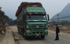 Chánh Thanh tra Sở GTVT Thanh Hóa nhận kỷ luật cảnh cáo