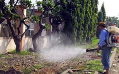TP.HCM xử phạt 56 cơ sở gây nguy cơ bùng phát muỗi