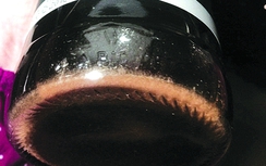 Chưa sử dụng, nước mắm Hạnh Phúc đã đóng cặn trắng