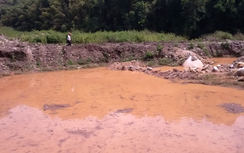 Rút giấy phép dự án núp bóng thủy điện khai thác vàng