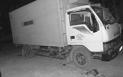 Nghệ An: Bác tin đồn bắt xe tải thả cá chết xuống biển