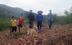 Lão nông tố bị cướp gần chục ha đất rừng ở Lạng Sơn