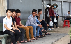 Hạn mặn khốc liệt: Người lên phố tìm việc tăng mạnh (Kỳ 2)