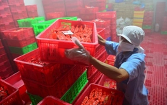 Vụ xúc xích Vietfoods: Không xin lỗi, DN sẽ kiện QLTT