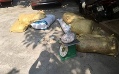 CSGT bắt xe khách chở hơn nửa tấn thịt thối