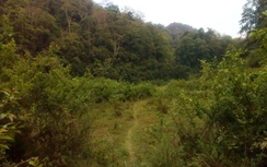 Thanh Hóa: Chưa thể giải cứu 3 phu vàng mắc kẹt trong hang