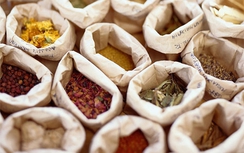 Người Việt đang uống...“bã thuốc” Đông y Trung Quốc?