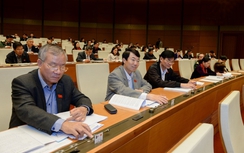 Xin hoãn thi hành Bộ luật hình sự: Sai sót đến từ đâu?