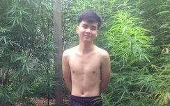 Lạng Sơn: Trồng cần sa rồi chụp ảnh đăng facebook