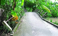 Phá hàng loạt lan can cầu để ô tô của cán bộ đi