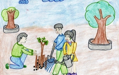 Lan man chuyện cây và đất