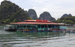 Hạ Long bất lực với nhà hàng nổi