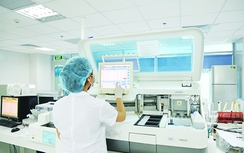 Hạnh phúc vỡ òa của những cặp vợ chồng hiếm muộn