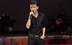 Đàm Vĩnh Hưng: Mạng con trâu thêm kiếp con lừa