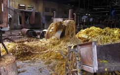 Hải Phòng: Doanh nghiệp gây ô nhiễm đổi tên để hoạt động