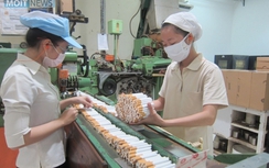 Vì sao không cấm sản xuất thuốc lá?