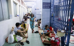 Làm gì phòng biến chứng sốt xuất huyết, tay chân miệng?