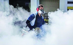 WHO cảnh báo virus Zika lây nhiễm khắp châu Á