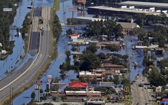 Mỹ còng lưng khôi phục đường sá sau siêu bão Matthew