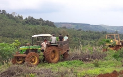 Vụ xả súng kinh hoàng ở Đắk Nông: Từng xảy ra ẩu đả