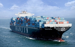 Tài sản tập đoàn vận tải Hanjin đang bị xâu xé?