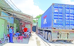 Xóa sổ các bãi dồn hàng, sang tải khu vực cảng Cát Lái