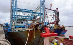 Đến lượt ngư dân Thanh Hóa điêu đứng vì tàu vỏ thép