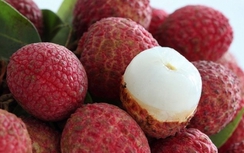 Máy bay Vietnam Airlines chở quả vải Việt sang Pháp bán