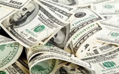 Khách “lơ đãng” bỏ quên 3.000 USD ở sân bay