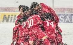 Những giọt máu đỏ rơi trên tuyết trắng...