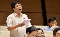 ĐBQH hiến kế sáp nhập tỉnh, thành để bộ máy bớt cồng kềnh