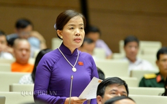 ĐBQH sốt ruột vì quy trình duyệt dự án ODA kéo quá dài